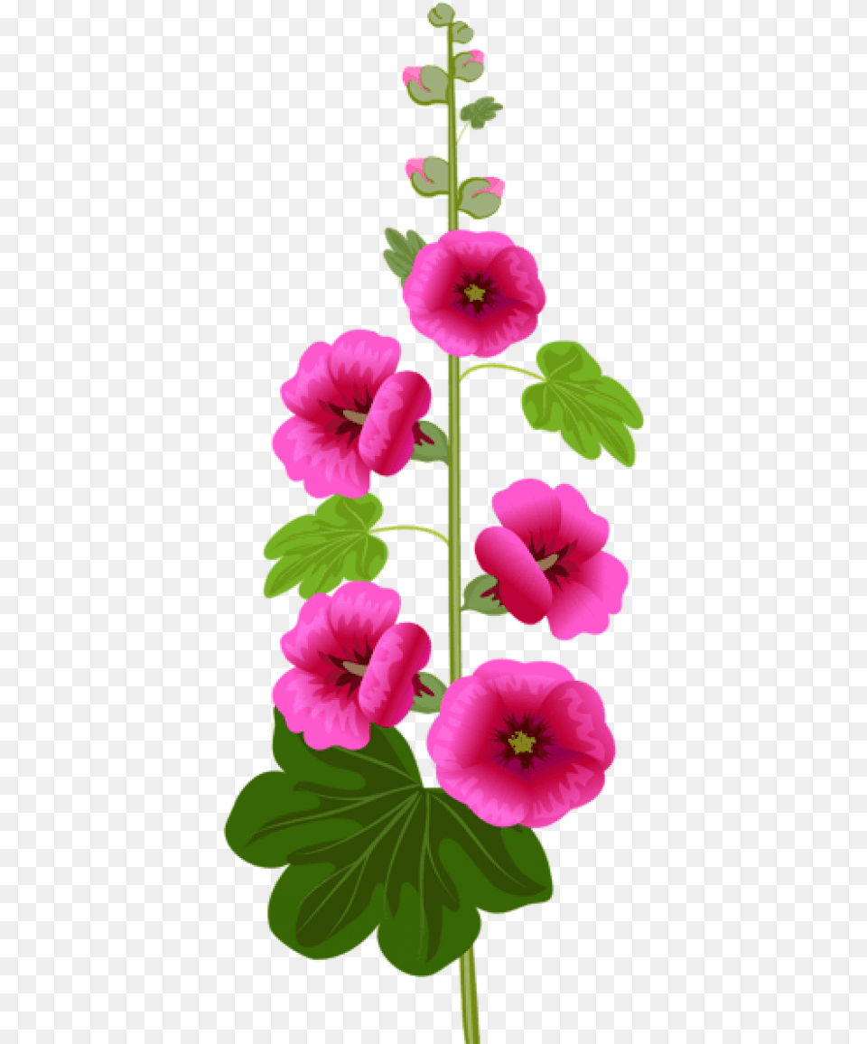 Purple Flower Images Transparent Feliz Martes De Corazones, Geranium, Petal, Plant Free Png Download
