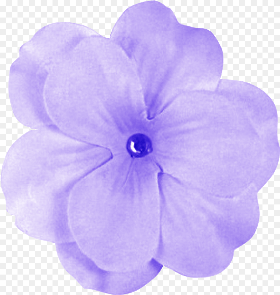 Purple Flower Latest Version 2018 Purple Flower Transparent Background, Anemone, Geranium, Petal, Plant Free Png Download