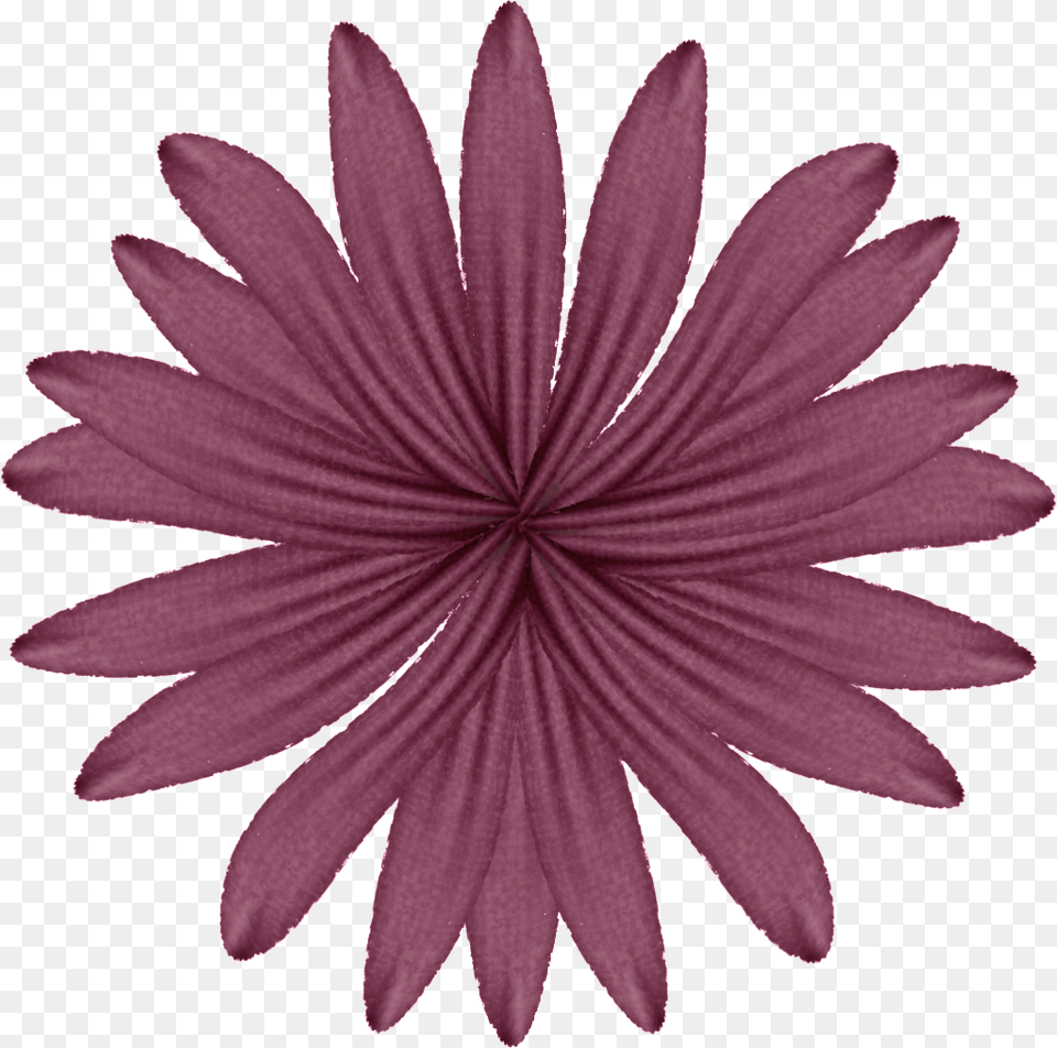 Purple Flower Photo Purpleflower Transparent Background Simple Flower Clipart, Daisy, Maroon, Plant, Petal Free Png Download