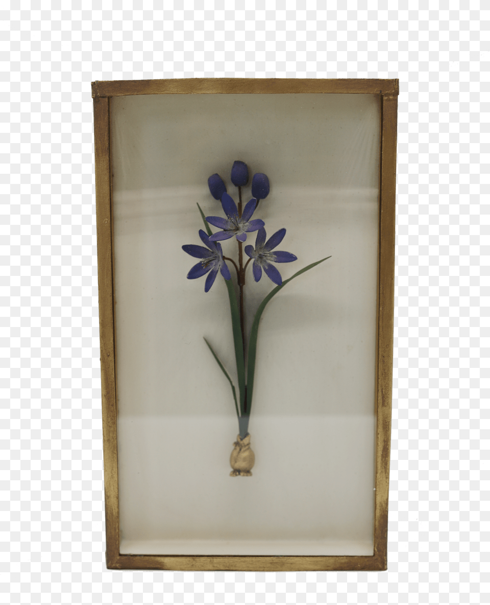 Purple Flower Shadow Boxsrcset Cdn Camas, Plant, Flower Arrangement Png Image