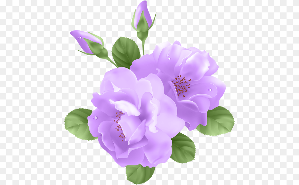 Purple Flower Vector Royalty Transparent Background Purple Rose Clipart, Plant, Petal, Geranium Free Png Download