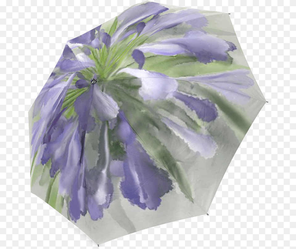 Purple Flower Watercolor Foldable Umbrella Agapanthus, Canopy, Petal, Plant, Ice Free Png