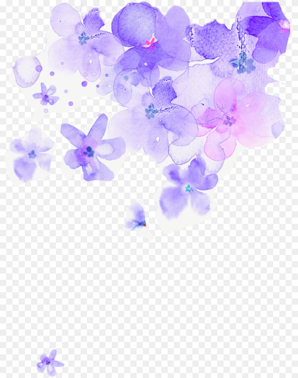 Purple Flower Watercolor Transparent Background Purple Flowers, Plant, Petal, Person Free Png Download