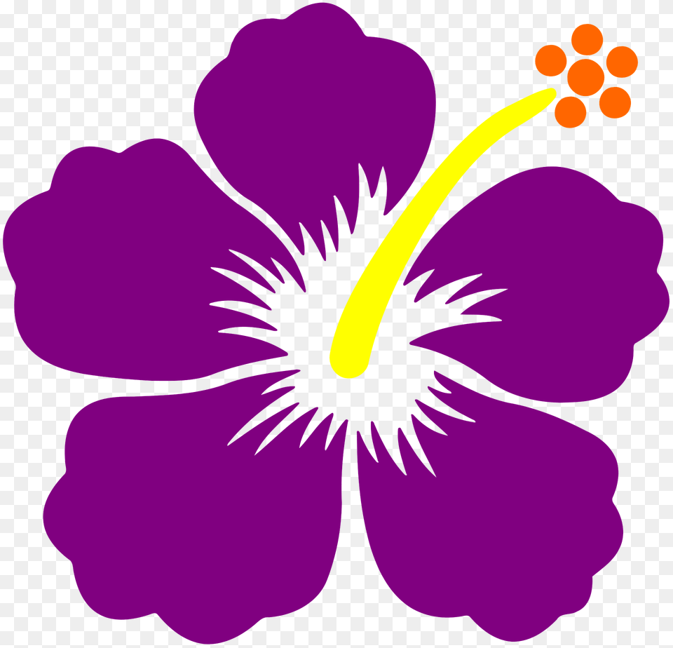 Purple Flower With Yellow Center Clipart, Hibiscus, Plant, Anther Png Image