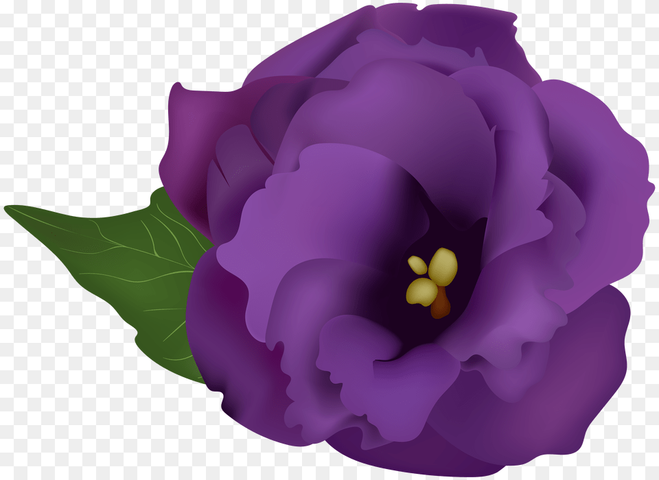 Purple Flowers Clipart Best Purple Gladiolus Clipart, Flower, Geranium, Plant, Anther Png