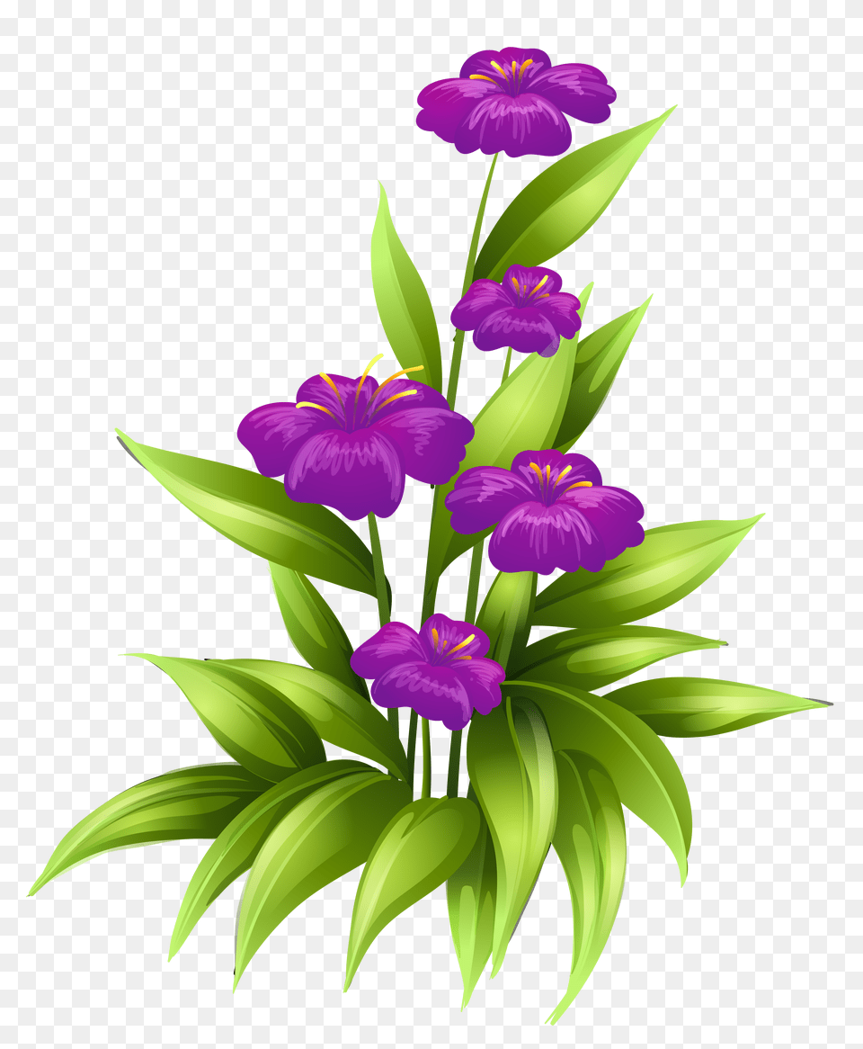 Purple Flowers Clipart Picture, Flower, Iris, Plant, Petal Free Png Download