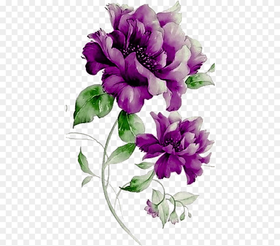 Purple Flowers Photo Purple And Yellow Flowers Background, Art, Plant, Pattern, Graphics Png