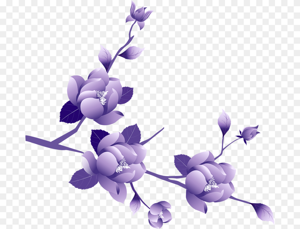 Purple Flowers Transparent Background, Plant, Flower, Art, Floral Design Png