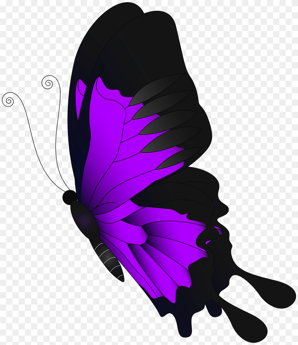 Purple Flying Butterfly Clip, Art, Graphics, Pattern, Accessories Free Png