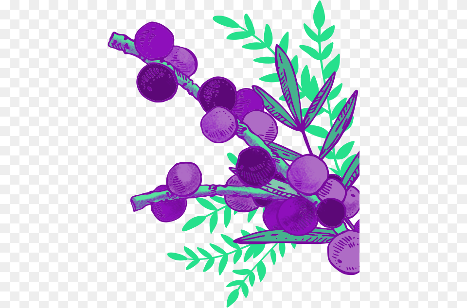 Purple For The Planet, Art, Graphics, Flower, Plant Free Png