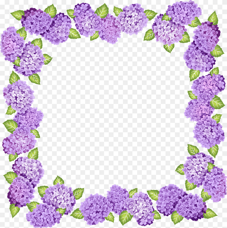 Purple Frame Clip Art Clipart Frames Of Purple Flowers, Dahlia, Plant, Flower, Pattern Free Png Download
