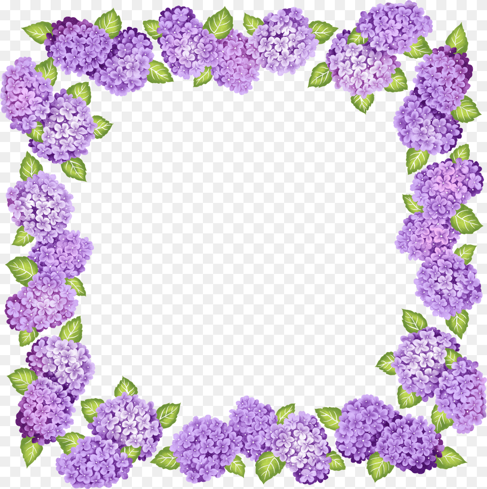 Purple Frame Clipart, Flower, Plant, Dahlia, Lilac Free Png Download