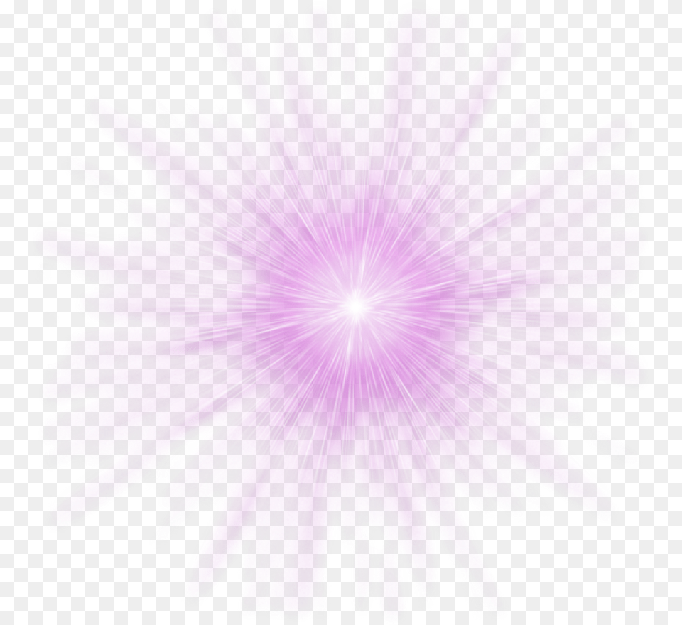 Purple Glare, Light, Plant, Pattern, Lighting Png