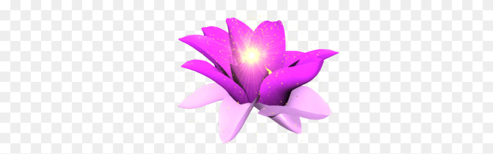 Purple Glow Flower Psd Vector Graphic Transparent Glowing Flowers, Plant, Petal, Art, Graphics Png Image