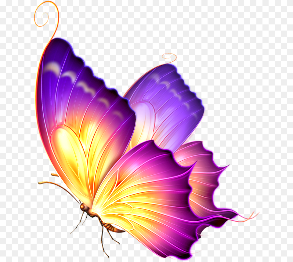 Purple Glow Glowing Butterfly For Picsart, Accessories, Art, Fractal, Graphics Free Png