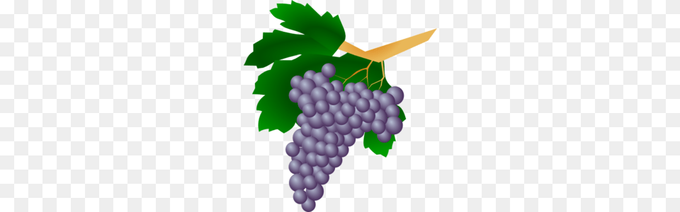 Purple Grapes Clip Art, Food, Fruit, Plant, Produce Png