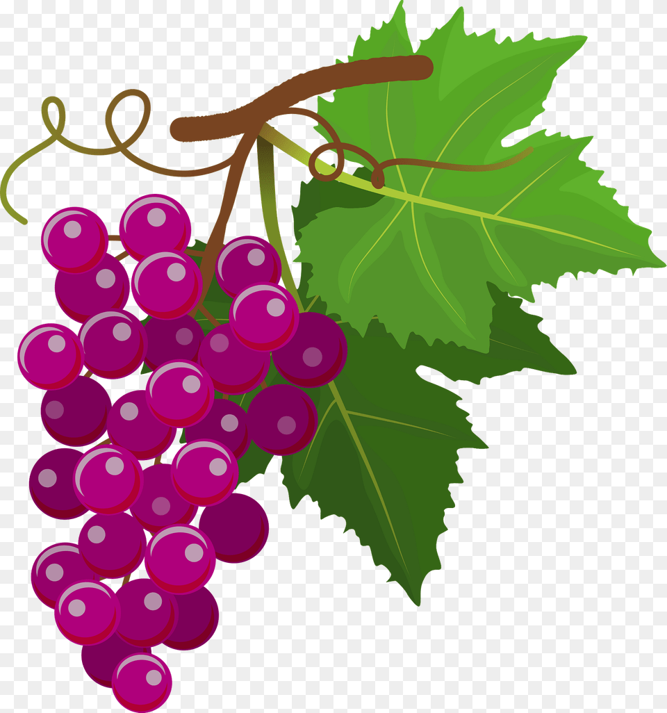 Purple Grapes Clipart, Food, Fruit, Plant, Produce Free Png