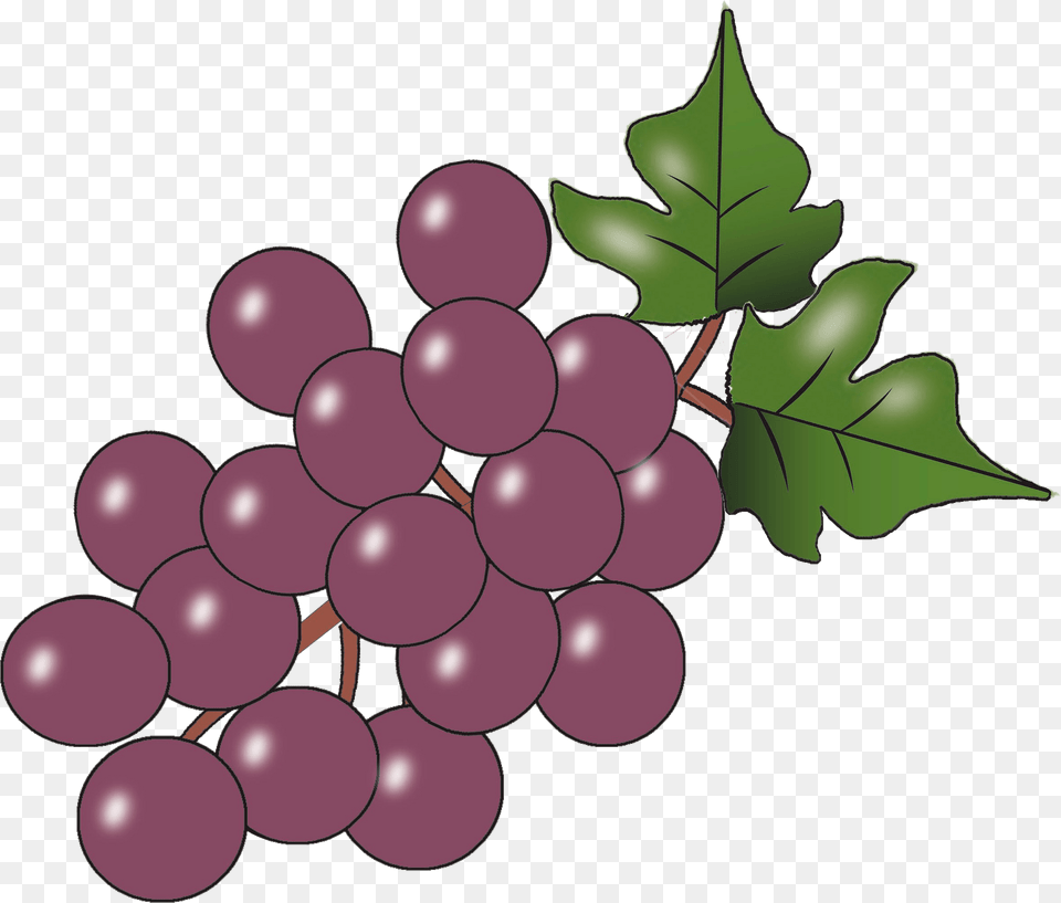Purple Grapes Clipart, Food, Fruit, Plant, Produce Png