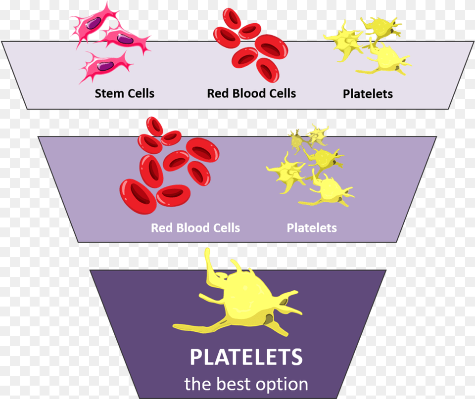 Purple Graphic With Icons For Platelets Red Blood, Art, Graphics, Paper, Flower Free Png