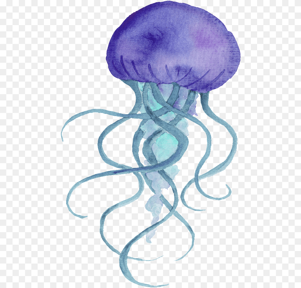 Purple Hand Painted Jellyfish Cartoon Purple Jellyfish Transparent Background, Animal, Sea Life, Invertebrate Png Image
