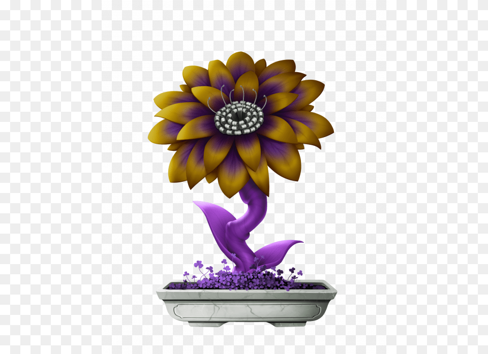 Purple Haze Flower, Tree, Potted Plant, Plant, Flower Arrangement Free Transparent Png