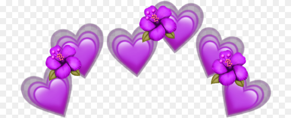 Purple Heart Emoji, Flower, Plant Png Image