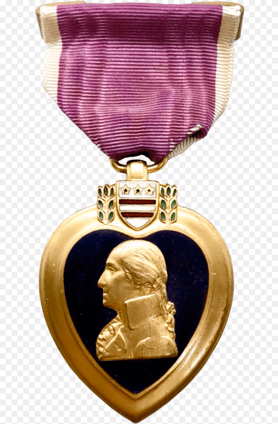 Purple Heart Guide Us Purple Heart Medal, Gold, Treasure, Adult, Female Free Transparent Png