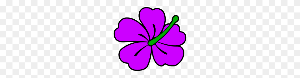 Purple Hibiscus Flower Clip Art Borders And Clip Art, Anther, Geranium, Plant, Petal Free Transparent Png