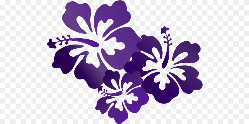 Purple Hibiscus Transparent U0026 Clipart Ywd Purple Flower Vector, Plant, Face, Head, Person Free Png Download