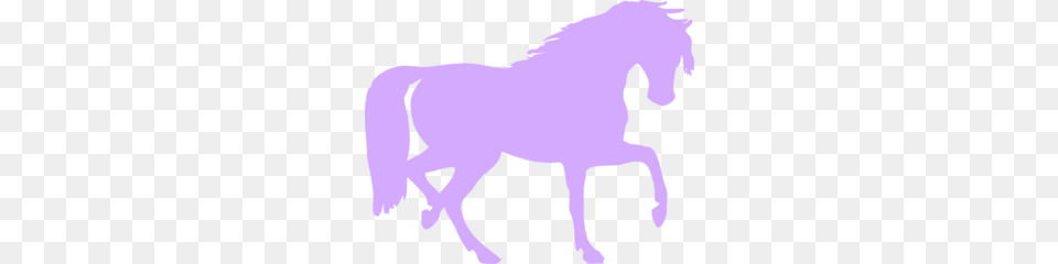 Purple Horse Clipart Clip Art Images, Animal, Mammal, Colt Horse, Baby Free Png