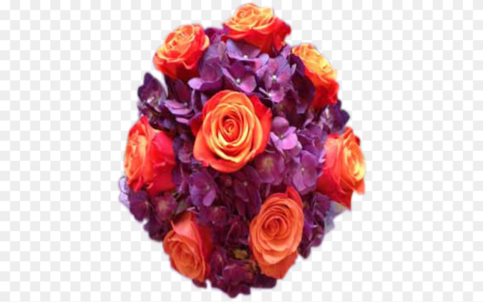 Purple Hydrangea Orange Roses, Rose, Plant, Flower, Flower Arrangement Png