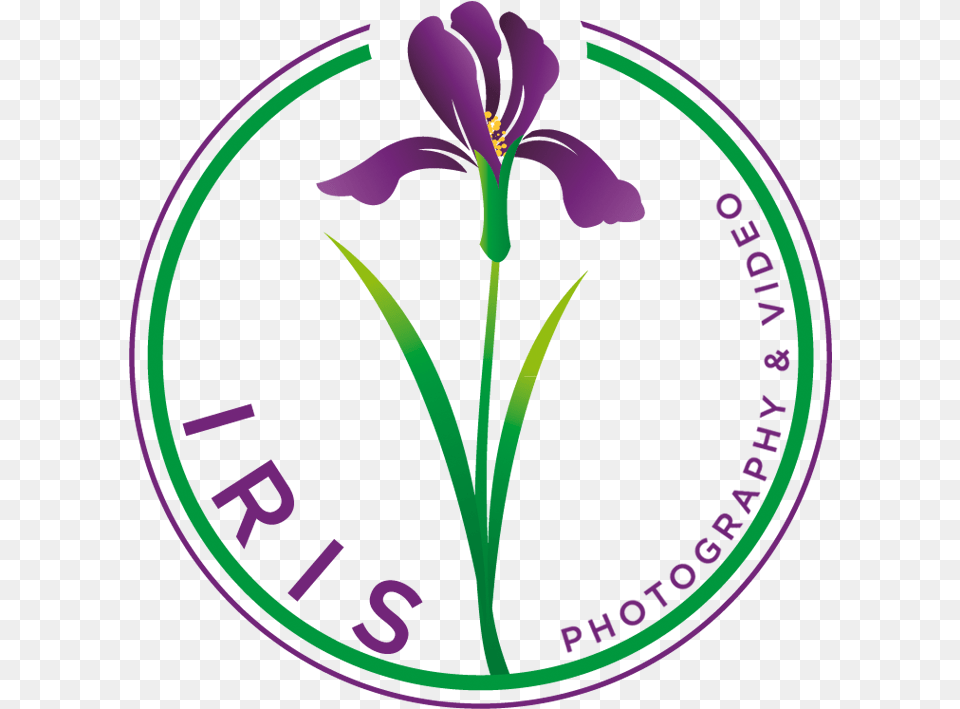 Purple Iris Iris, Flower, Plant Free Png