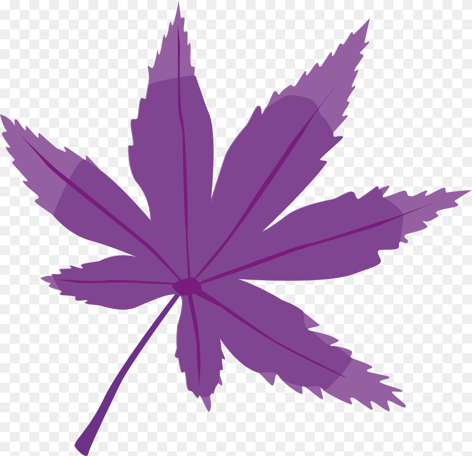 Purple Leaf Clipart, Plant, Tree Png Image
