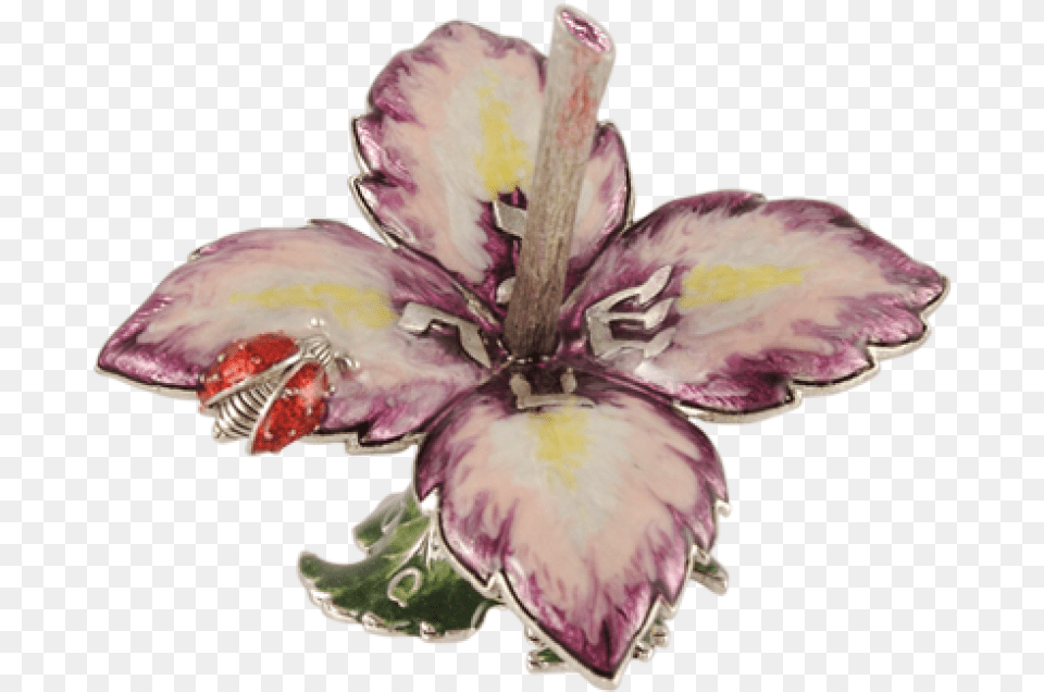 Purple Leaf Dreideltitle Purple Leaf Dreidel Lily Family, Flower, Plant, Anther, Accessories Free Png Download