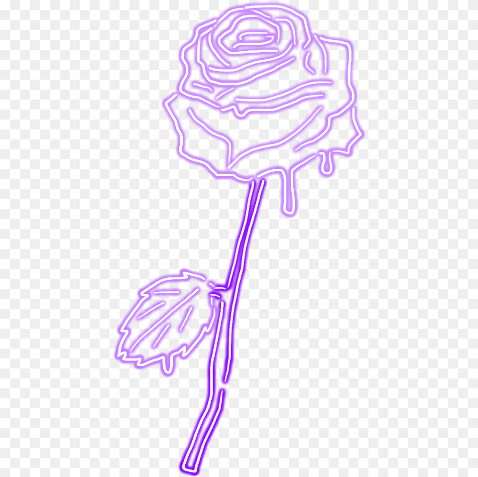 Purple Lilac Kawaii Tumblr Rose Dripping Pasrel Neon Purple Rose Tumblr Draw, Light, Person Free Png