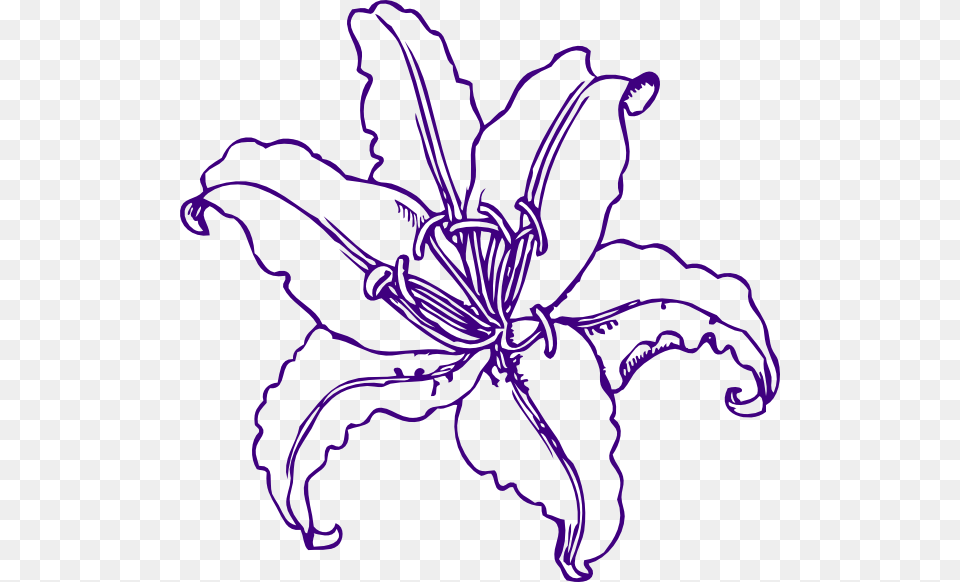 Purple Lilly Clip Art Lilly Clipart, Flower, Plant, Pattern, Person Png