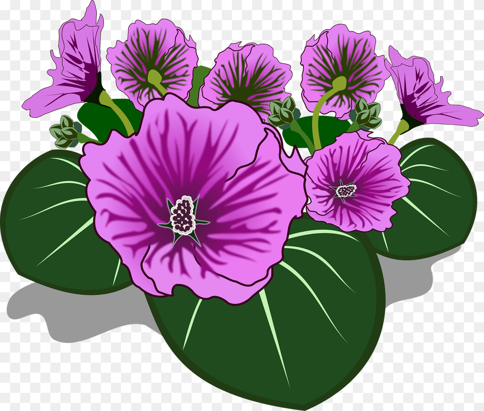 Purple Morning Glory Flowers Clipart, Anther, Flower, Geranium, Plant Free Png