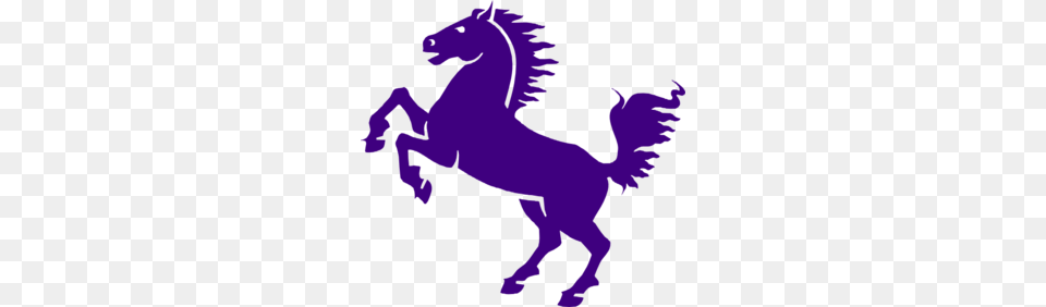 Purple Mustang Clip Art Teaching Stuff Horses Black Horses, Baby, Person, Animal, Colt Horse Free Png Download