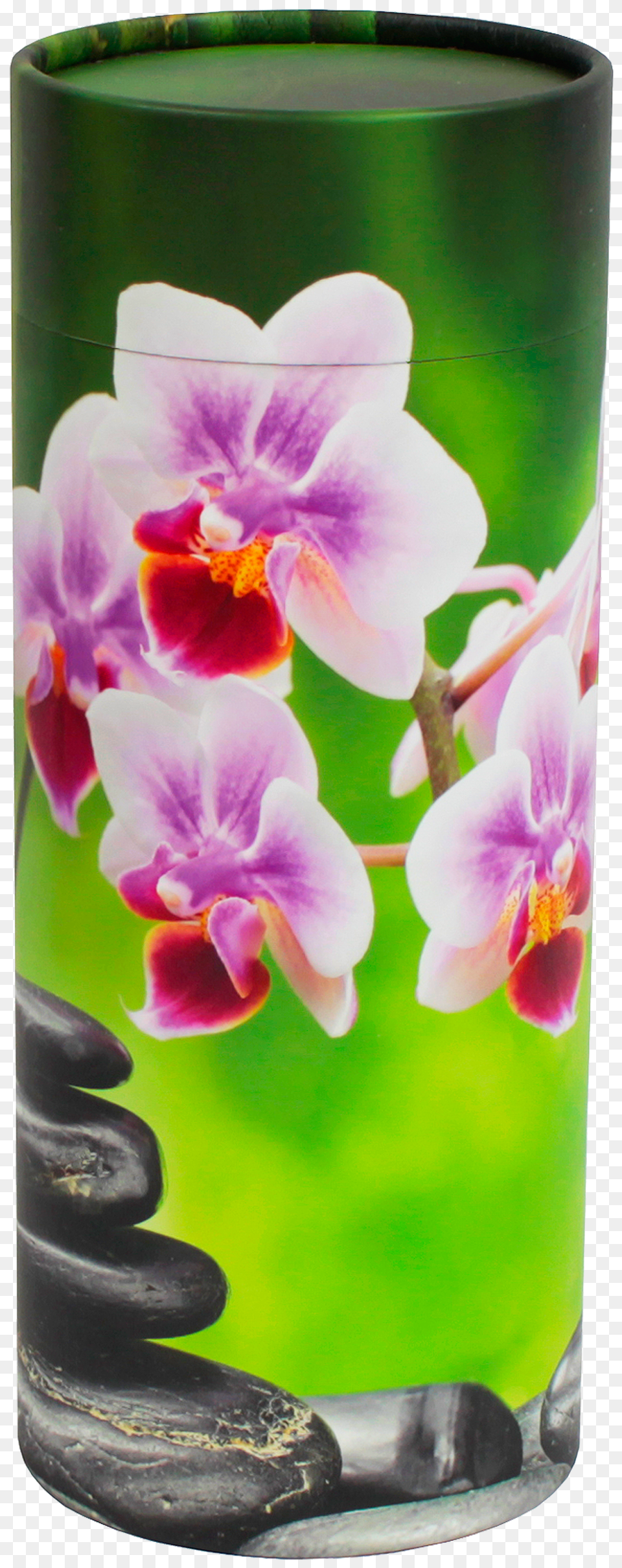 Purple Orchid Flower With Bamboo Stone Download Orchids Free Transparent Png