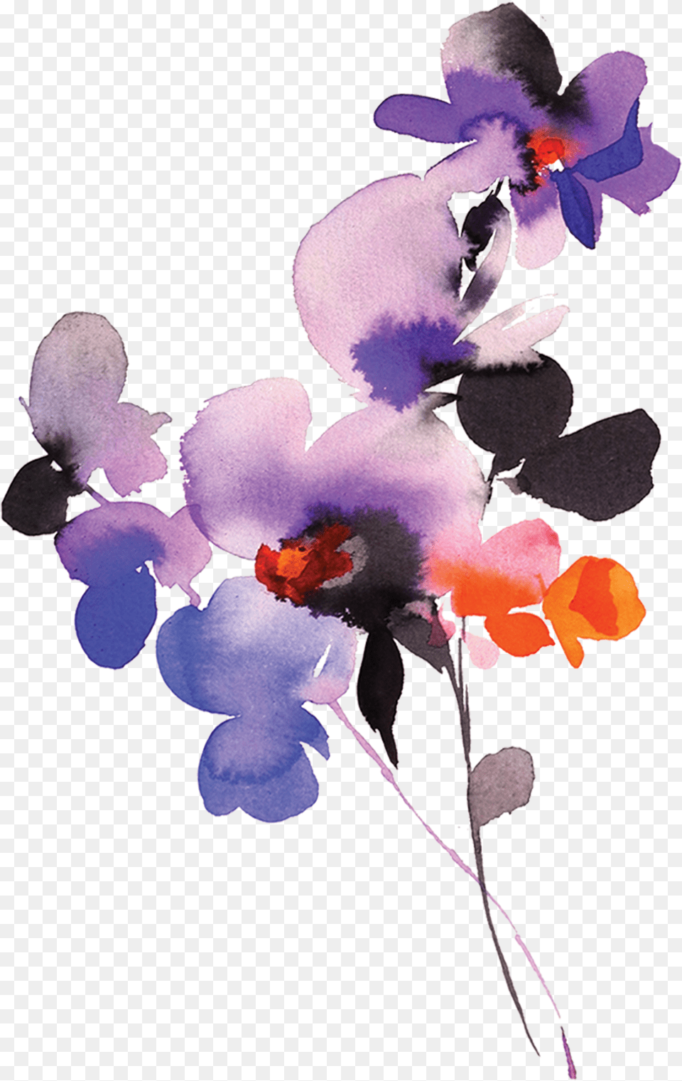Purple Orchid Tattly Flower, Plant, Geranium Png Image