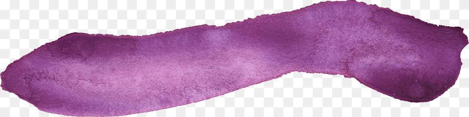 Purple Paint Stroke, Flower, Petal, Plant, Home Decor Free Png Download