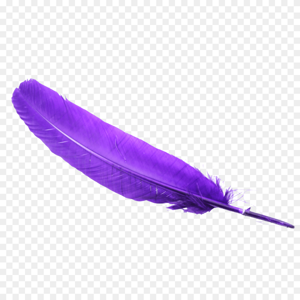 Purple Passion Feather, Bottle Free Png Download