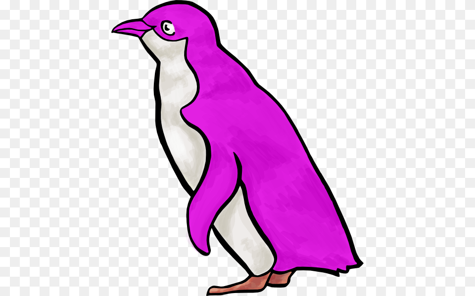 Purple Penguin Clip Art, Animal, Bird Free Png Download