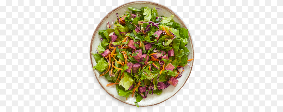 Purple Power Wendy39s Summer Berry Chicken Salad, Food, Meal, Food Presentation, Pizza Free Png