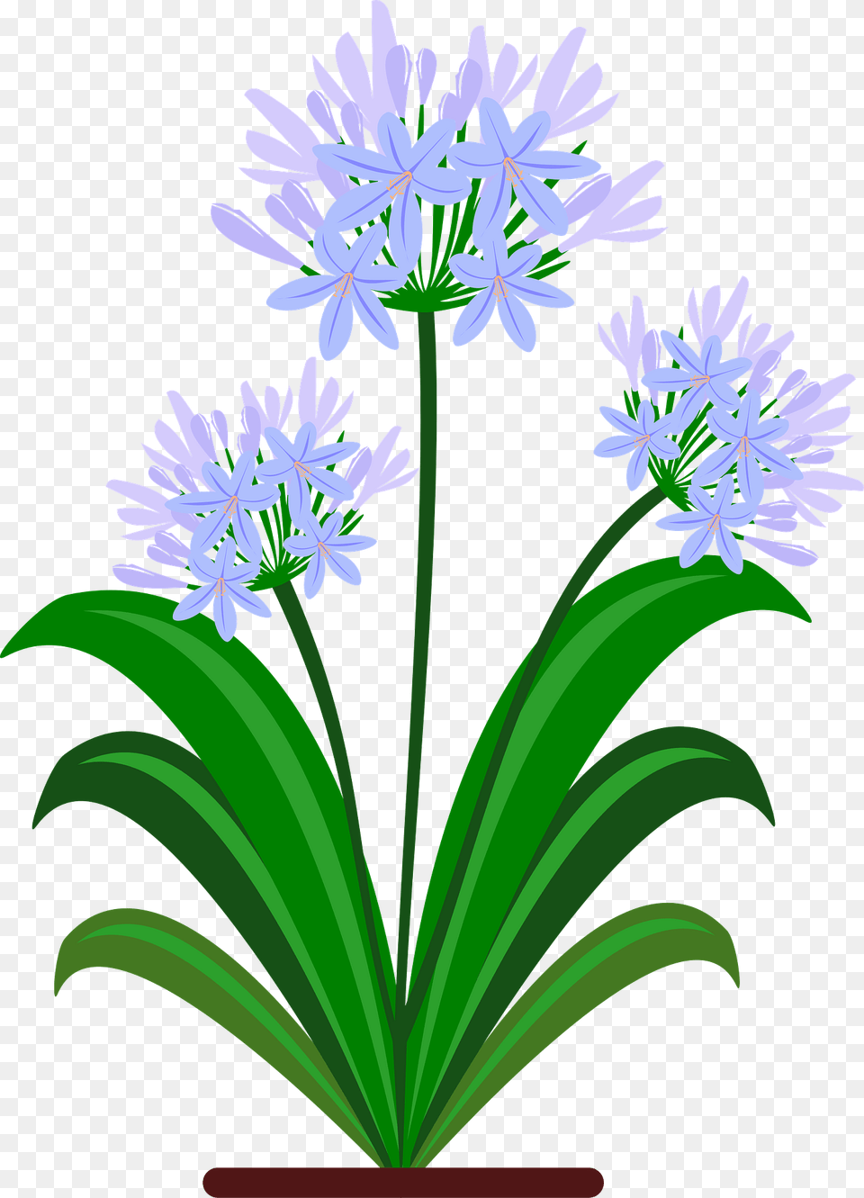 Purple Primavera Flowers Clipart, Flower, Plant, Flower Arrangement, Agapanthus Free Transparent Png