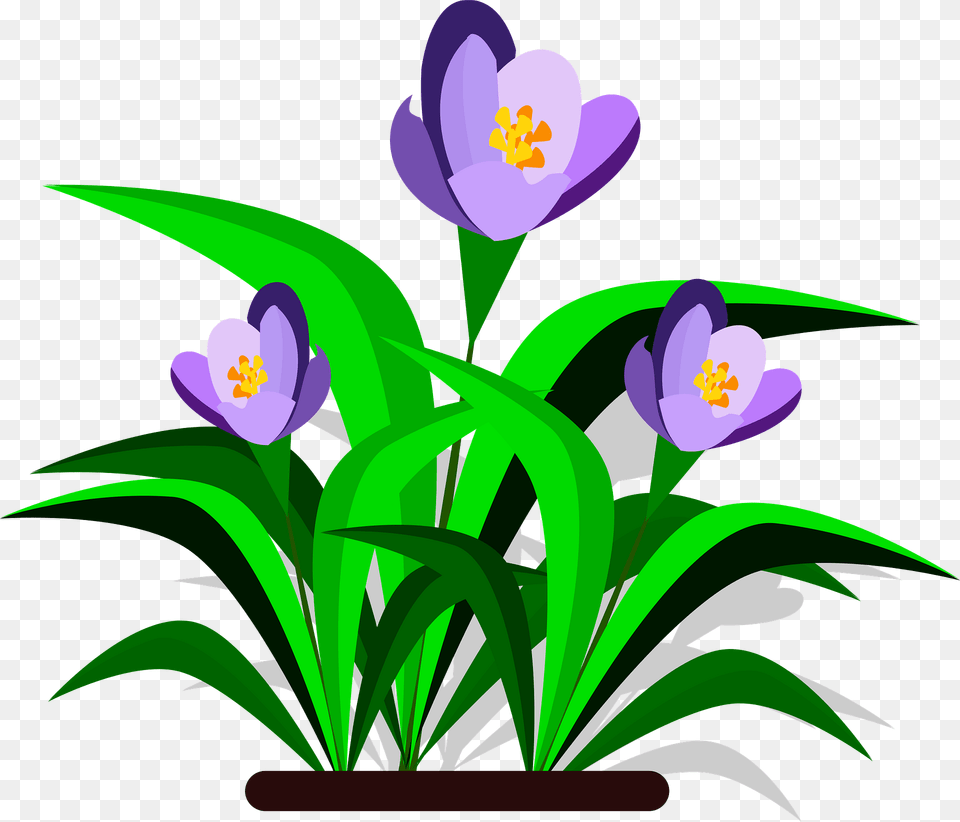 Purple Primavera Flowers Clipart, Flower, Plant, Flower Arrangement, Crocus Png Image