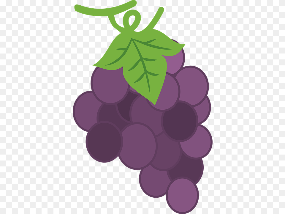 Purple Purple Grape Fruit Food Healthy Yellow Seedless Fruit, Grapes, Plant, Produce, Dynamite Free Png
