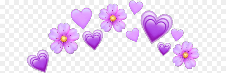 Purple Purpleheart Hearts Heart Crown Heartcrown Purple Heart Crown, Flower, Plant, Petal Png