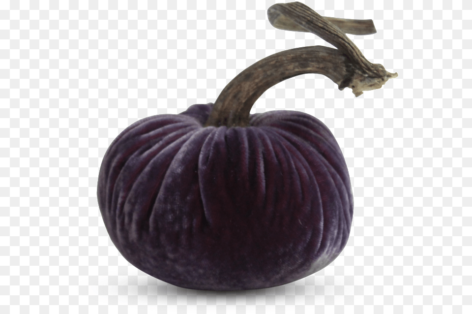 Purple Rain Triodata Image Id Pumpkin, Vegetable, Food, Produce, Plant Free Png