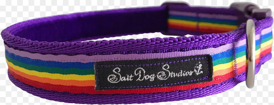 Purple Rainbow Ribbon Dog Collar Bracelet, Accessories, Bag, Handbag, Jewelry Png Image